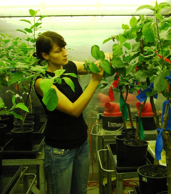 Rachel Glasshouse Cornell.jpg