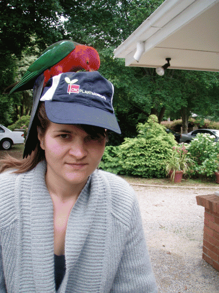 Carla Tadich, Port Douglas
