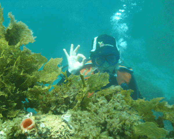 Elspeth West scubadiving