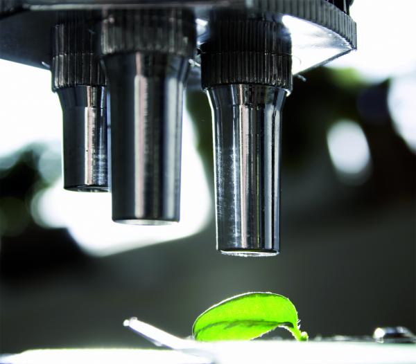 Diagnostics Research Program Image