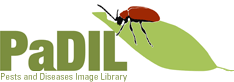 PaDIL logo